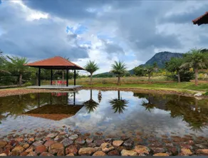 Nandi Hill View Villa - Image 4