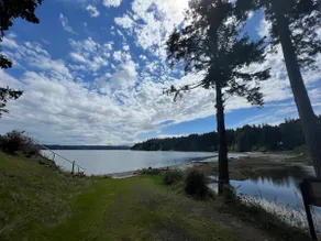 Hood Canal Haven: Beach, Forrest, Oh My - Image 3