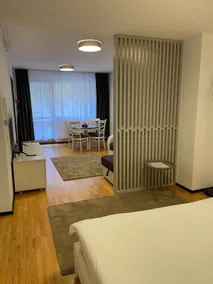 Nicole Apartments Sinaia - Image 3