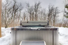 Stratton TreeTop 3BR with hot tub & fireplace - Image 3