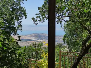 The Secret Garden in Amirim - Image 5