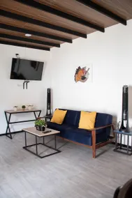 House of the olive trees - Image 3