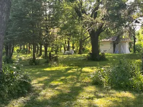 Spacious Backyard Room - Image 4