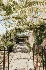 Le Bas Château Provence Luberon - Image 4