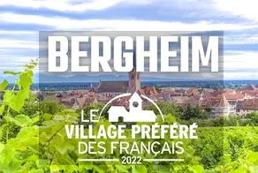 Le Vign'Art - Image 3