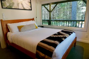 Green Escape: hot tub, A/C, firepit, EV chr, dogs OK - Image 3