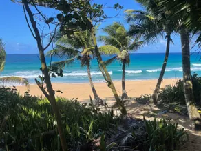 Star Fish: Arecibo. House. Ocean View Retreat. - Image 5