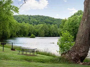 River access | fire pit | BBQ | Dog friendly! - Image 4