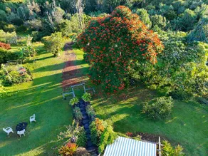 Off-Grid Jungle Retreat – Hand-Built Gem - Image 2