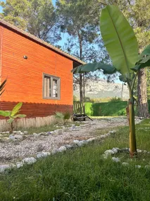 BlackStone Bungalows - Image 5