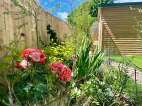 Cosy Cabin in Seaton - Windrush Escape - Image 5