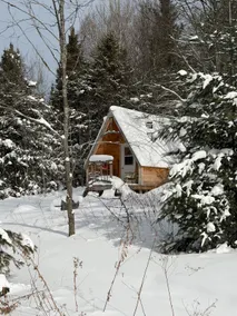 Orchard Cabin - Image 3