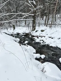 Mountain Views & Private Stream - Image 3