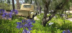Romantic Casita on Spanish Estate, freeway close - Image 5