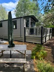 Peaceful lodge in private woodland setting - Image 2