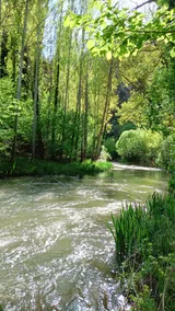 Casa Rural Camino de la Fuente - Image 3