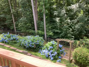 Wooded Hillside Retreat near DC - Image 2
