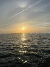 Endless Summer - Image 4