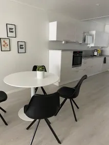 Completely renovated large two-room apartment. - Image 4