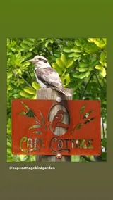 Cape Cottage Bird Garden - Image 2