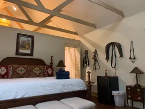 Modern Luxury In 1900's Carriage House - King Bed! - Image 2