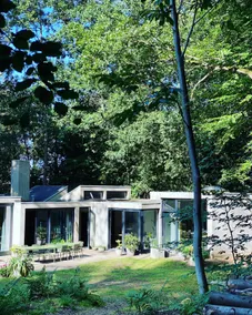 Studio in the woods near the city - Image 5