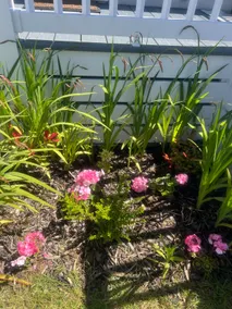 Sarah’s Sunny Haven - Image 3