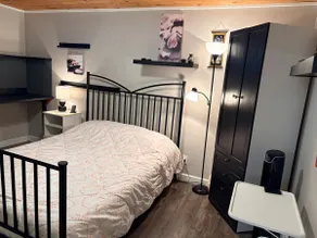 Spacious Private Suite close to CFB, RMC, 401 & DT - Image 2