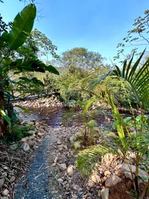 Encanto da Floresta Cottage - Image 2