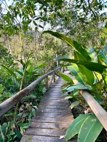 Encanto da Floresta Cottage - Image 5