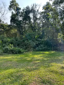 Encanto da Floresta Cottage - Image 4