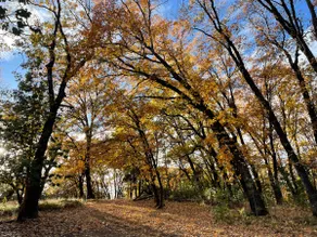 Vista Knolls Woodland House South Yuba River - Image 4
