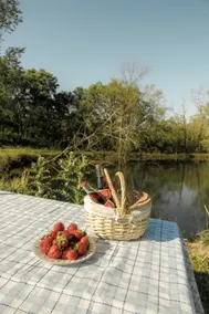 Muletown Manor | TN Charm | Pond | Horse | Sleep10 - Image 2