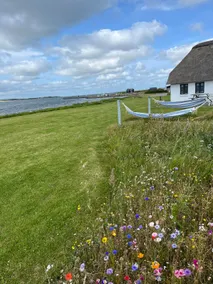 Cottage on Venø with a first-row view of the fjord - Image 4