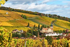 Between Colmar-Strasbourg, Obernai, nice 2-6 person 2-bedroom apartment - Image 2