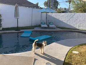 Poolside Guesthouse with Private Patio in Midtown - Image 5