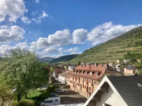 Studio with vineyard and Vosges views - Image 2
