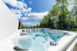 Louis Cyr 70: River Views, Hot Tub & Billiards - Image 2