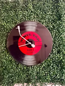 Welcome to The Vinyl Tap! - Image 5