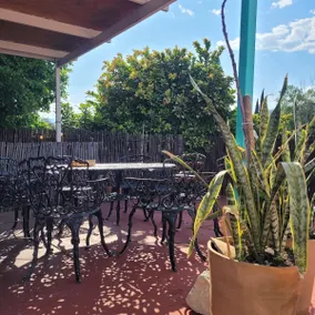 Casa Biche – Authentic Experience in Jalatlaco - Image 4