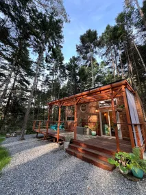 Fern Canyon Hideaway, Walk to Beach & Waterfall - Image 4