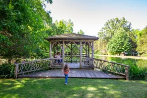 The Moonshine Cabin at Green Frog Farm - Image 3