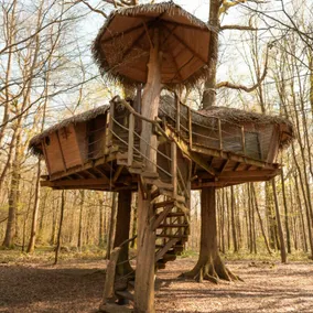Robin Hood Family Cabin - Image 3