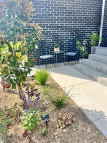 Stunning space in Wagga opposite golf course - Image 4