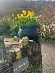 Dog friendly house, central Boscastle Inc parking - Image 3