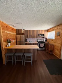 Cabin near Manistee River - by Janix Escape - Image 4