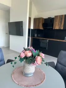 Apartment with garden near Legoland - Image 4