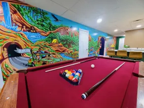 Pool - Hot Tub - Theater - Arcade - Mural - RRG - Image 2