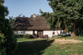 Balaton Cottage - Your Hide Away - Image 5