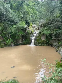 “Los arbolitos” Cabin - Image 5